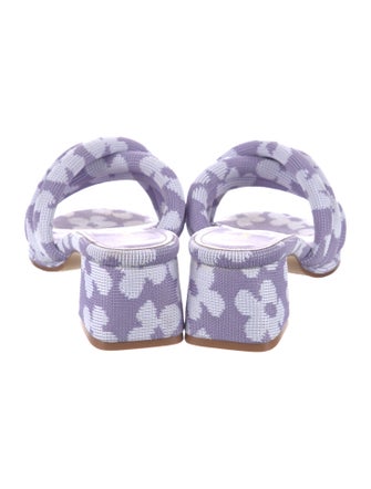 Larroude Printed Slides