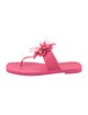 Larroude Rubber T-Strap Sandals