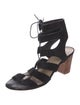 Loeffler Randall Suede Gladiator Sandals