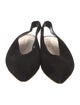 Loeffler Randall Suede Slingback Flats