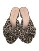 Loeffler Randall Animal Print Bow Accents Slides