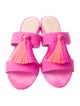Loeffler Randall Suede Tassel Accents Slides