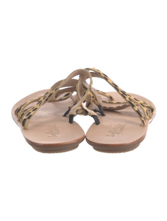 Loeffler Randall Ponyhair Animal Print Slides