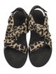 Loeffler Randall Animal Print Bow Accents Sandals