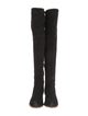 Loeffler Randall Suede Boots