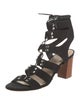Loeffler Randall Suede Gladiator Sandals