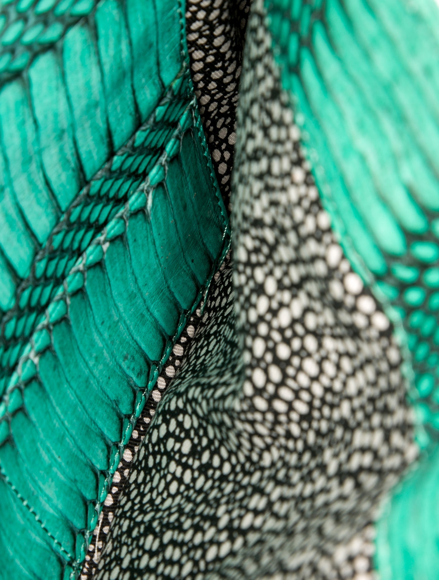 Loeffler Randall Snakeskin Crossbody Bag