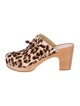 Loeffler Randall Ponyhair Animal Print Mules