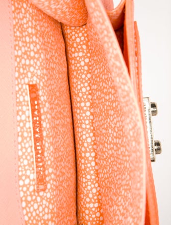 Loeffler Randall Crossbody Bag