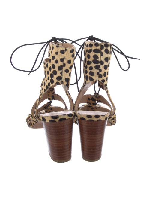 Loeffler Randall Ponyhair Animal Print Gladiator Sandals