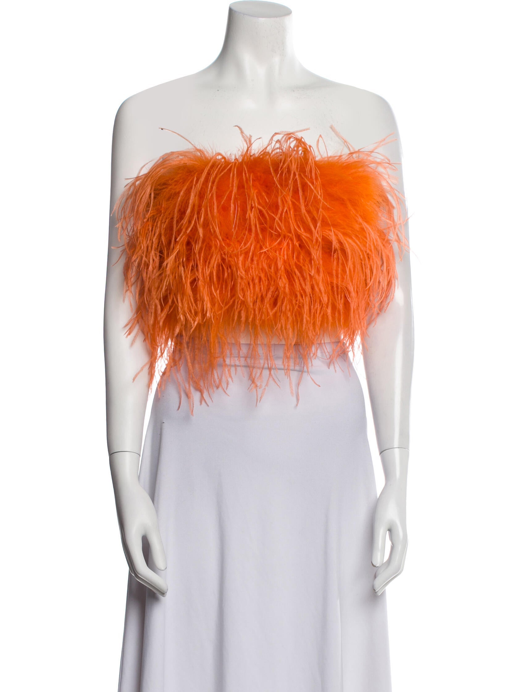 Lamarque Strapless Crop Top