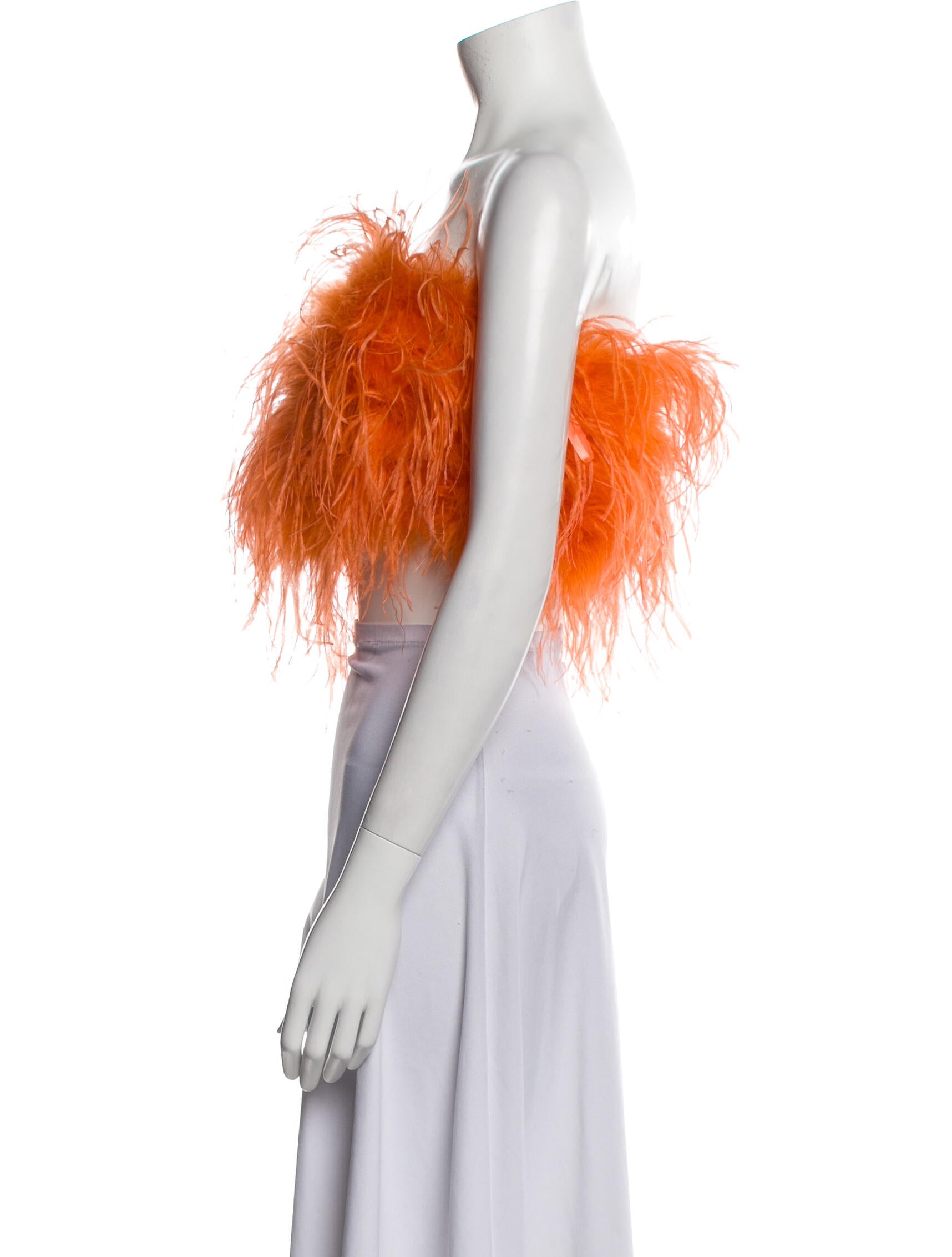 Lamarque Strapless Crop Top