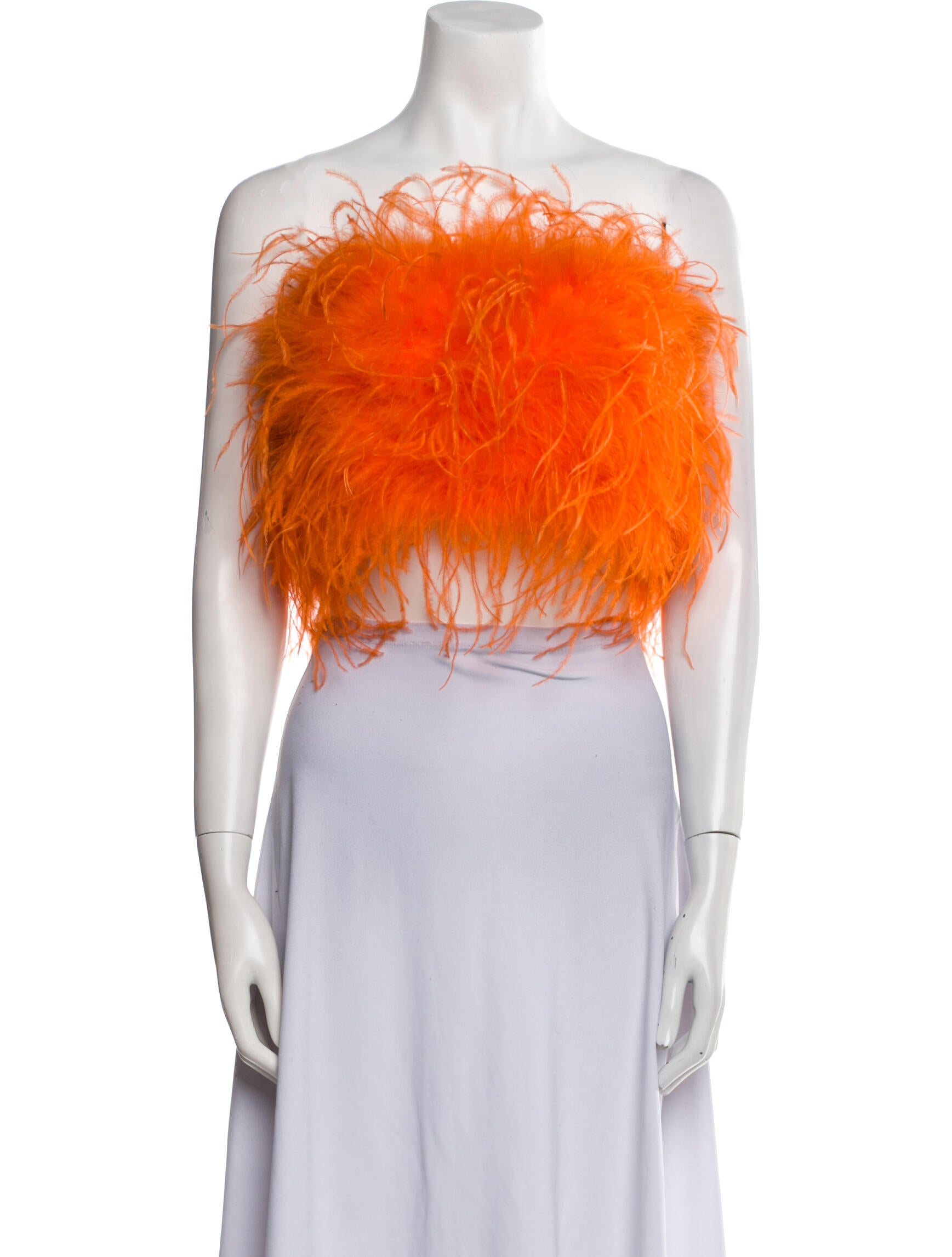 Lamarque Strapless Crop Top