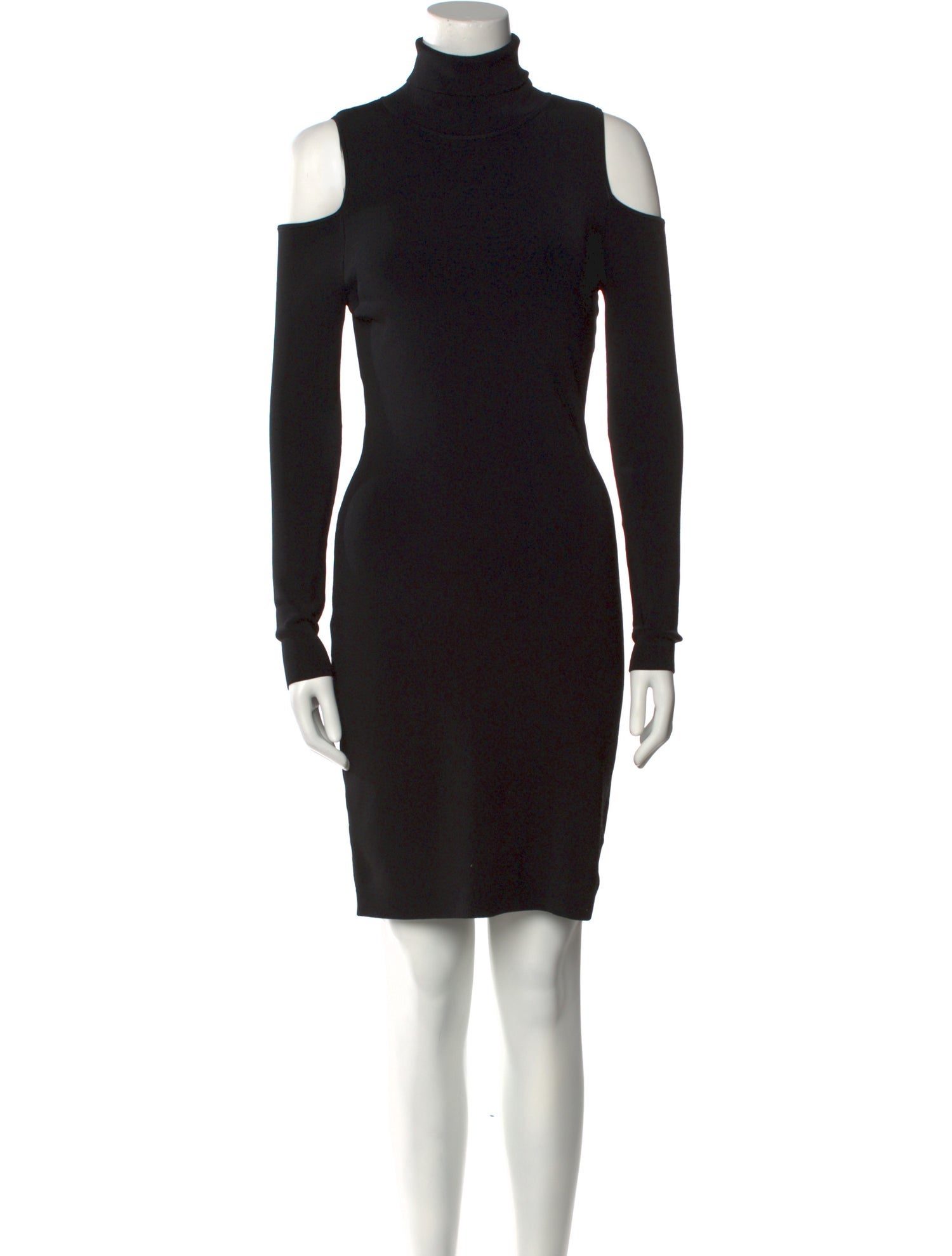 Lauren Ralph Lauren Turtleneck Mini Dress