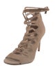 Louise et Cie Suede Gladiator Sandals