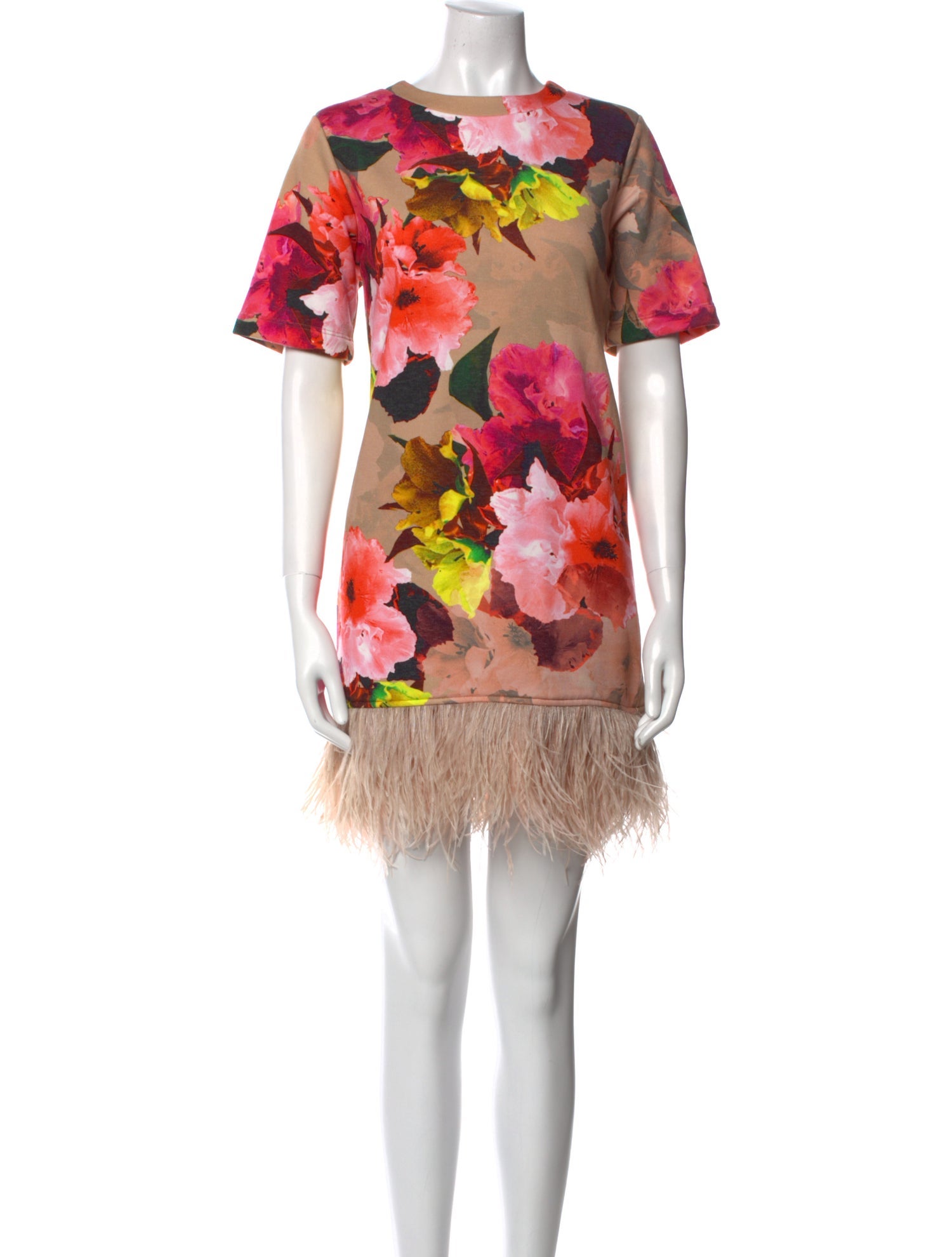 Le Superbe Floral Print Mini Dress