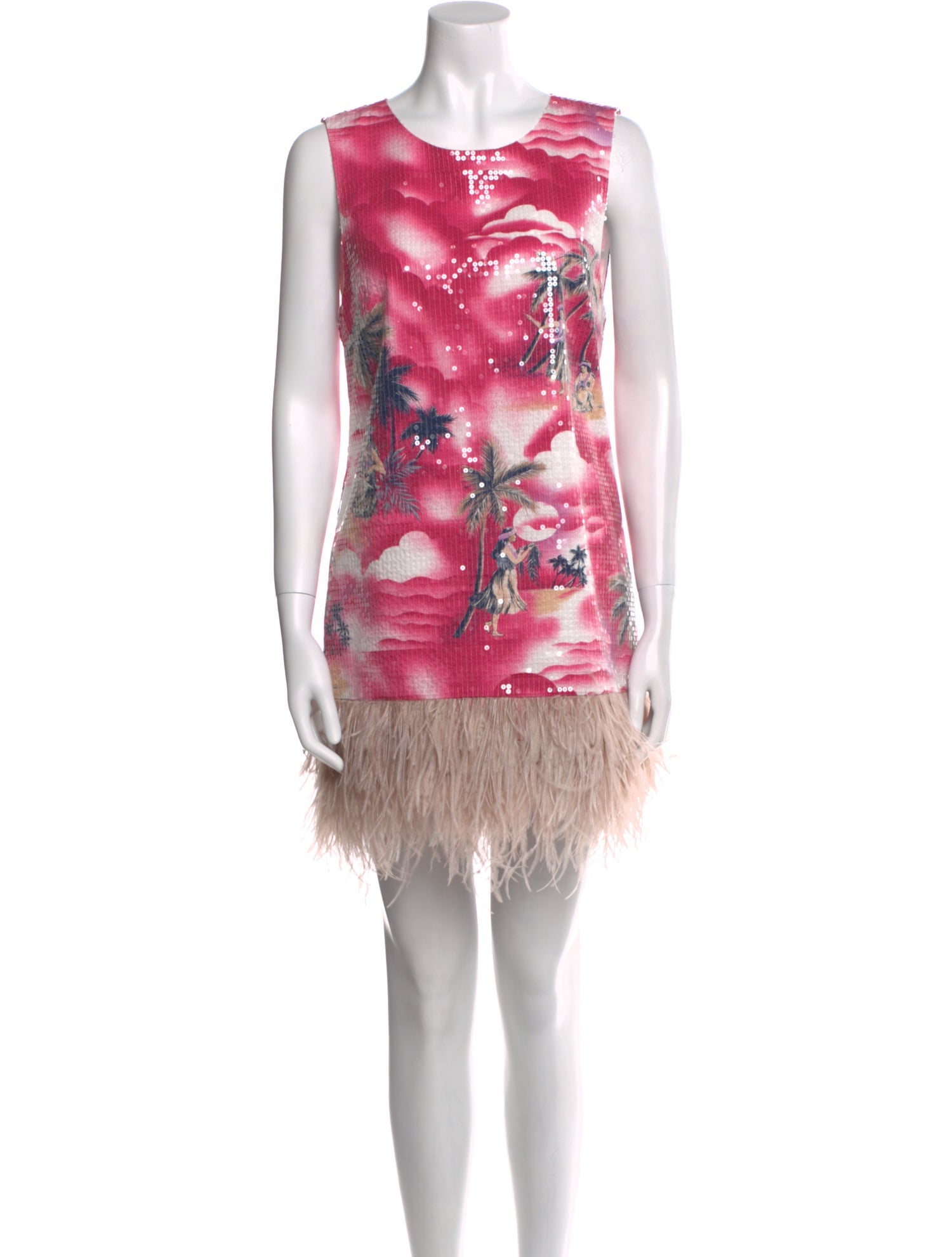 Le Superbe Printed Mini Dress