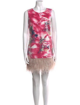 Le Superbe Printed Mini Dress