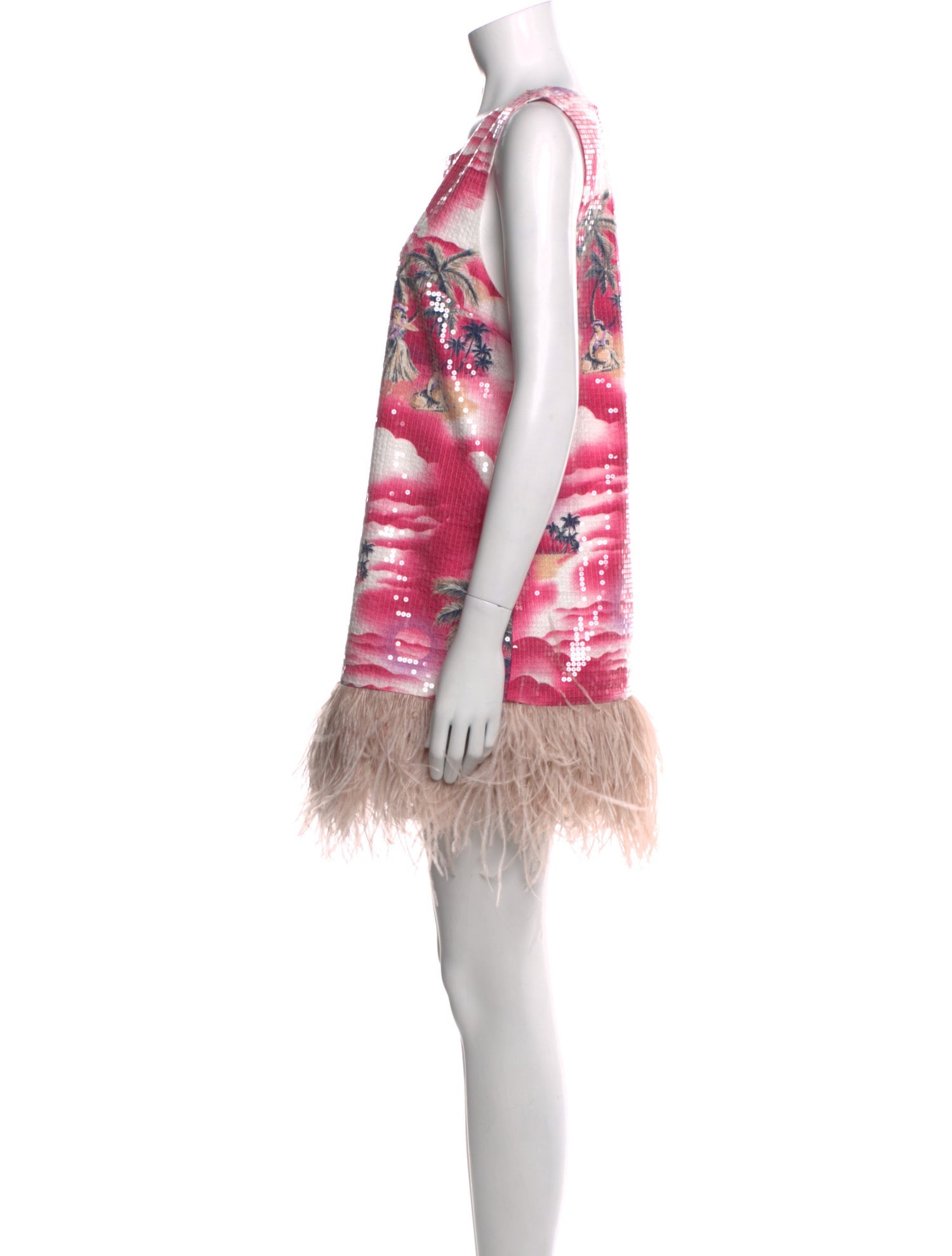 Le Superbe Printed Mini Dress