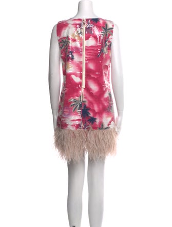 Le Superbe Printed Mini Dress