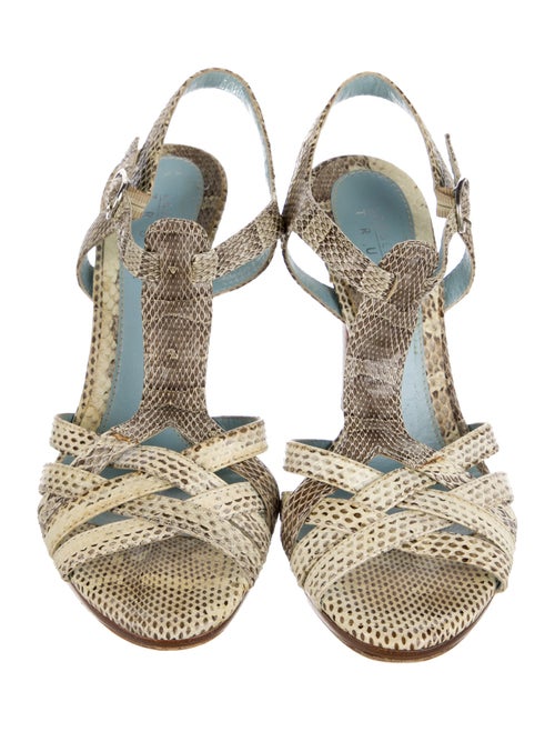 Lambertson Truex Snakeskin Animal Print Espadrilles