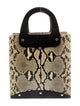 Kieselstein-Cord Snakeskin Top Handle Bag