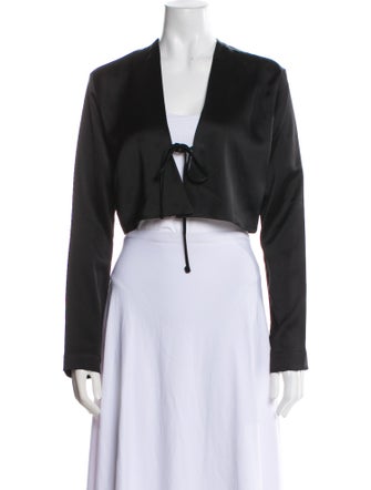 Leset V-Neck Long Sleeve Crop Top