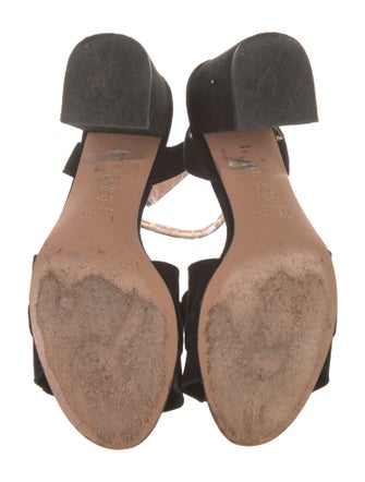 Lewit Suede Ruffle Embellishment Sandals