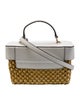 Michael Michael Kors Straw Top Handle Bag