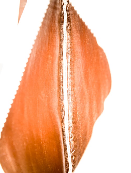 Michael Michael Kors Monogram Belt Bag