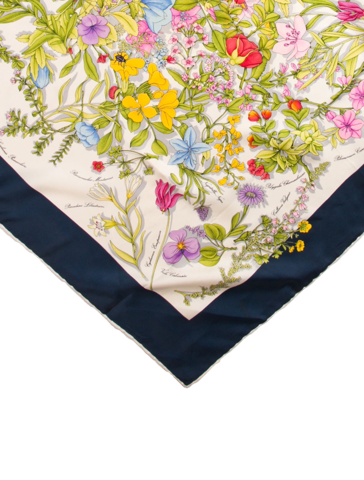 Mantero 1902 Silk Floral Print Scarf