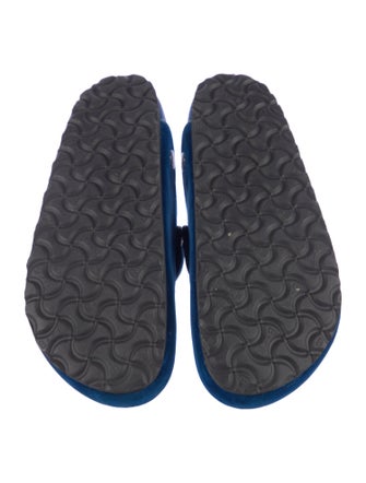 Manolo Blahnik x Birkenstock Velvet Crystal Embellishments Mules