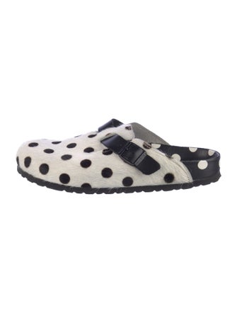 Manolo Blahnik x Birkenstock Ponyhair Polka Dot Print Ballet Flats