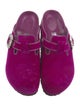 Manolo Blahnik x Birkenstock Velvet Crystal Embellishments Mules