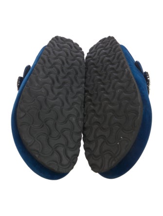 Manolo Blahnik x Birkenstock Velvet Crystal Embellishments Mules