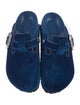 Manolo Blahnik x Birkenstock Velvet Crystal Embellishments Mules