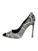Marcell Von Berlin Patent Leather Animal Print Pumps