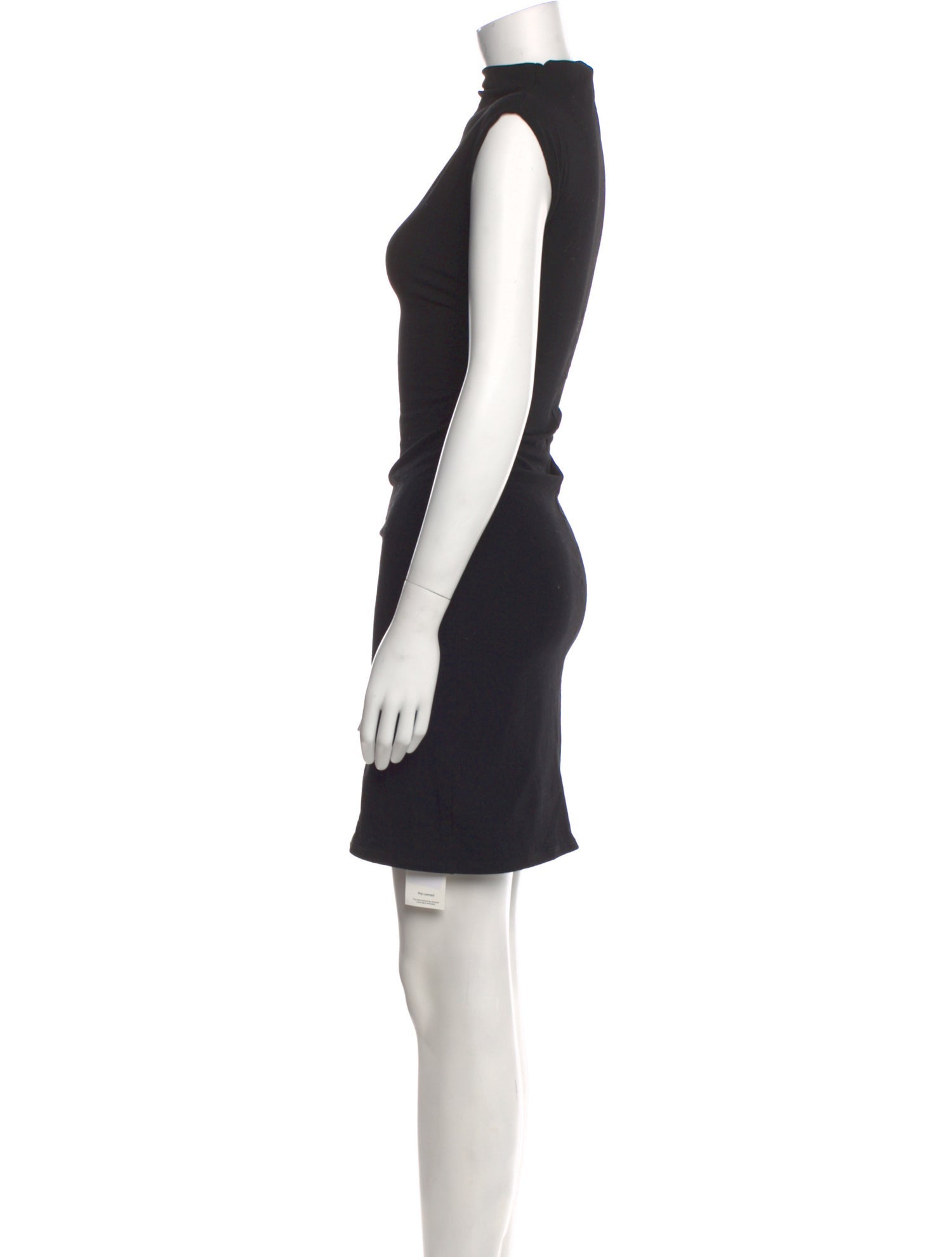 Meshika Turtleneck Mini Dress