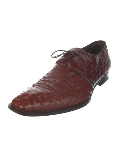Mezlan Ostrich Oxfords
