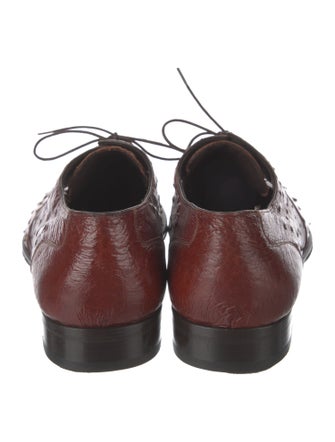Mezlan Ostrich Oxfords