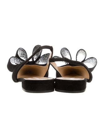 Mach & Mach Suede Bow Accents Slingback Flats