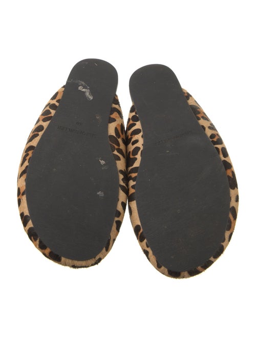 Simon Miller Ponyhair Animal Print Mules