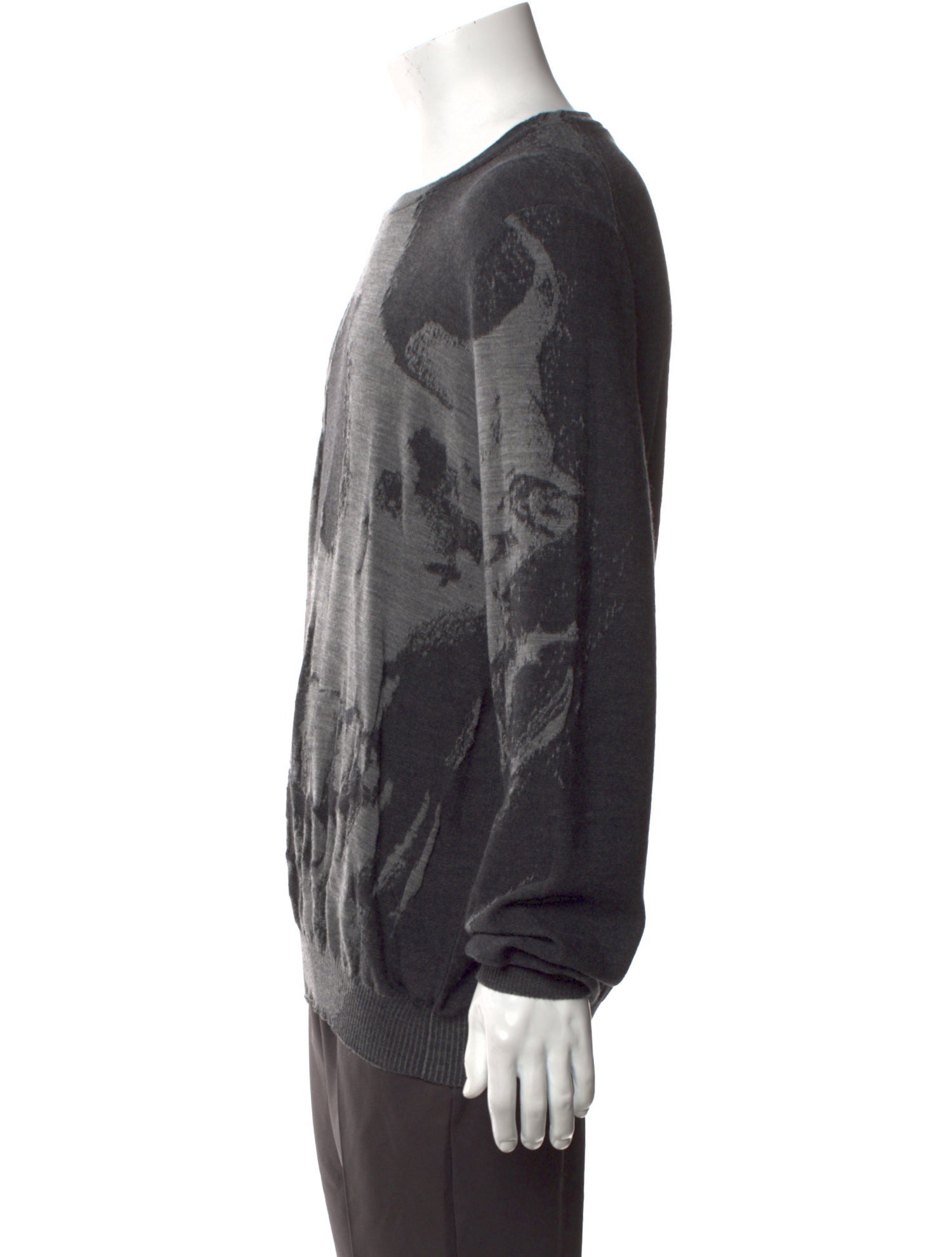 Alexander McQueen Wool Printed Pullover