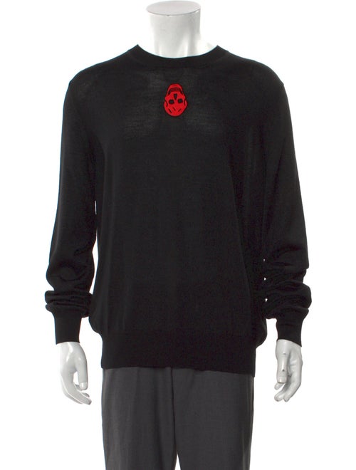 Alexander McQueen Graphic Print Crew Neck Pullover