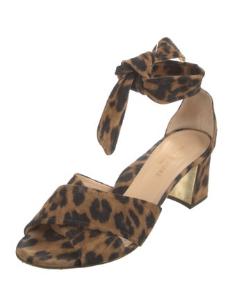 Marion Parke Suede Animal Print Sandals