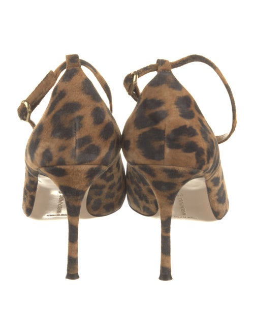 Marion Parke Suede Animal Print Pumps