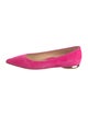Marion Parke Suede Ballet Flats