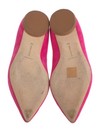Marion Parke Suede Ballet Flats