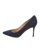 Marion Parke Suede Pumps