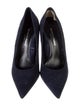 Marion Parke Suede Pumps